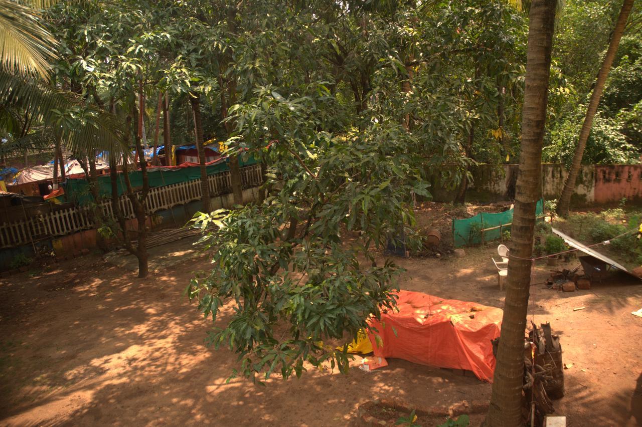 Namahstay Eco Hostel & Coworking & Art Community Space Арамболь Экстерьер фото